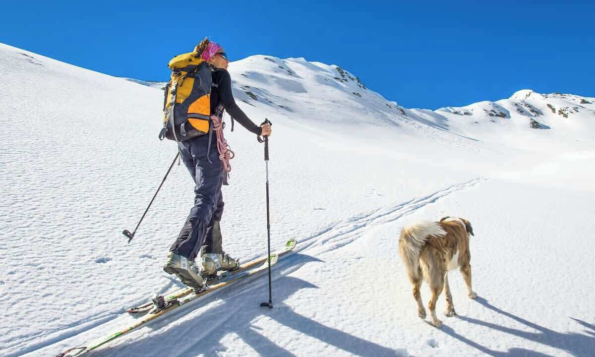 Photo of Others in Glacier