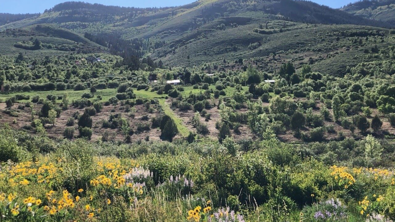 Photo of Outdoor in Fish Haven