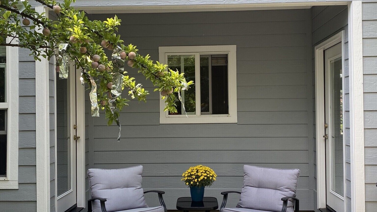 Photo of Patio Balcony in Garden City