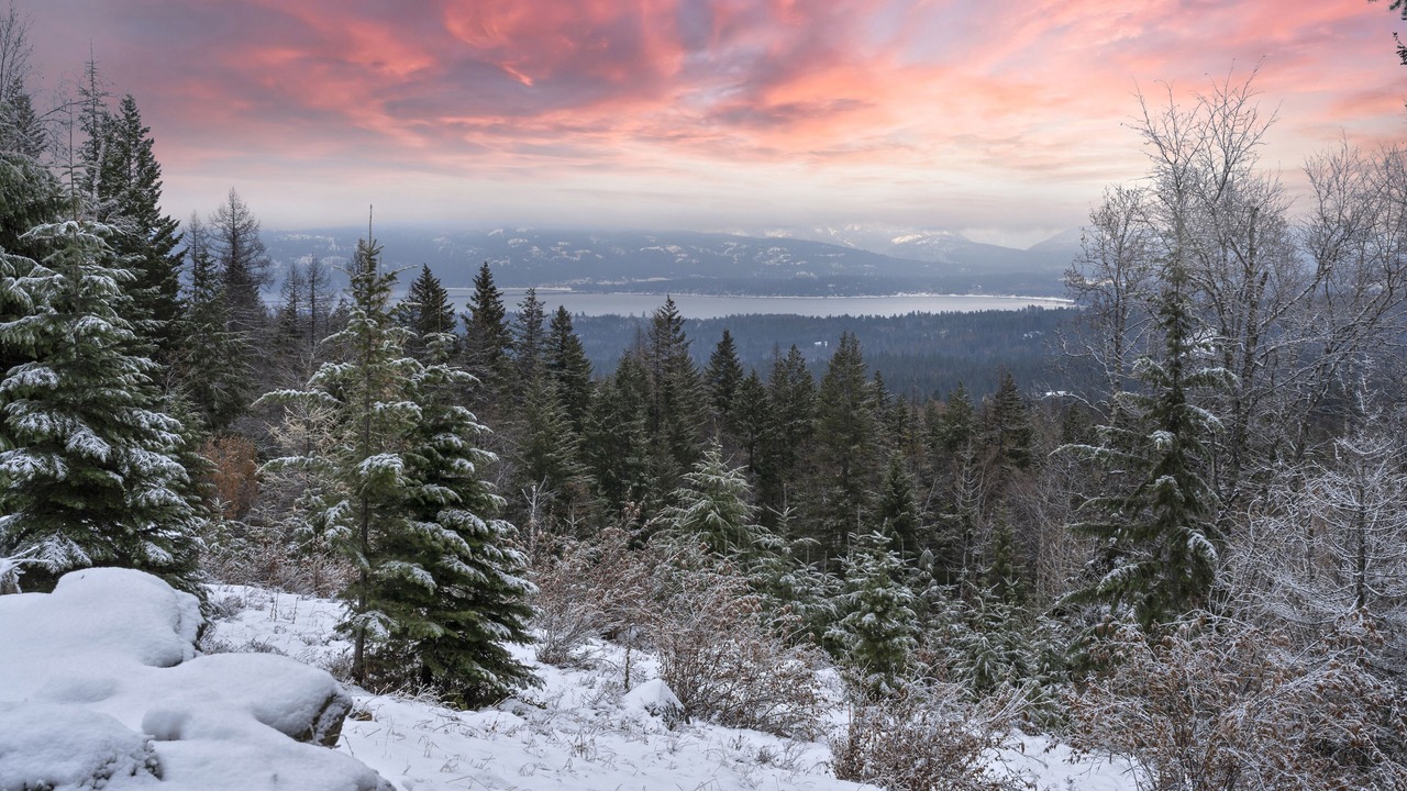Photo of Others in Sandpoint