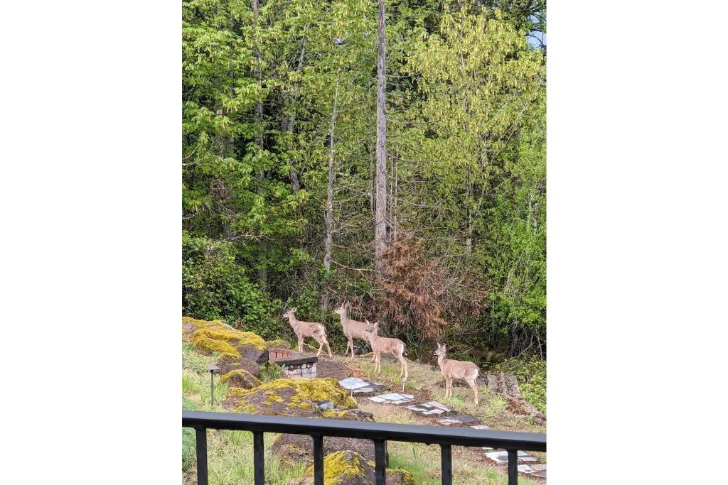 Photo of Outdoor in Sunnyside