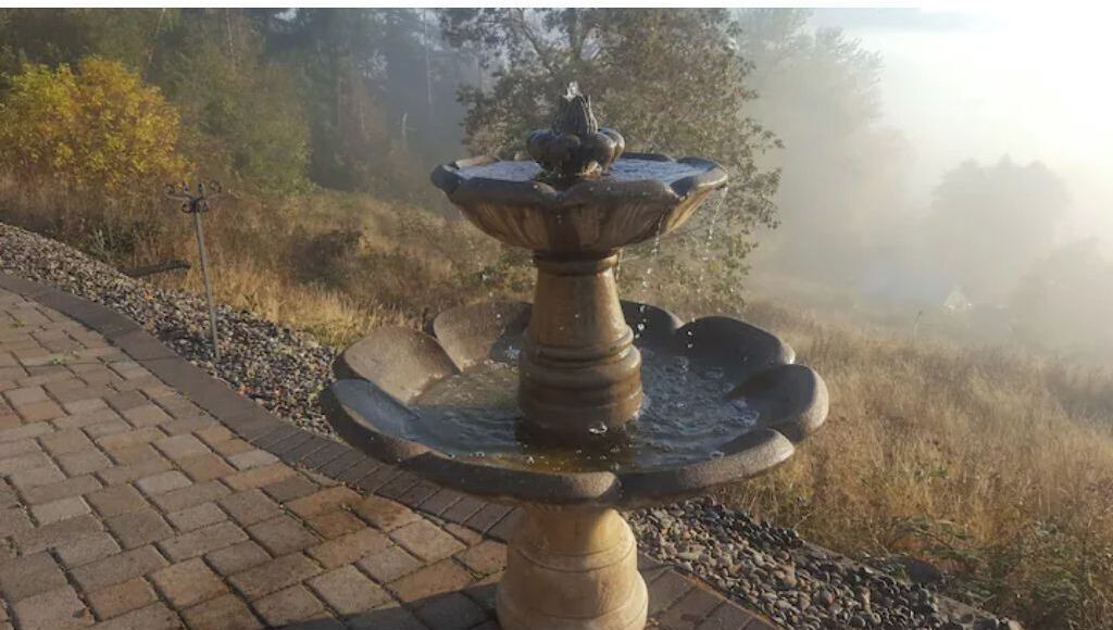 Photo of Outdoor in Sunnyside
