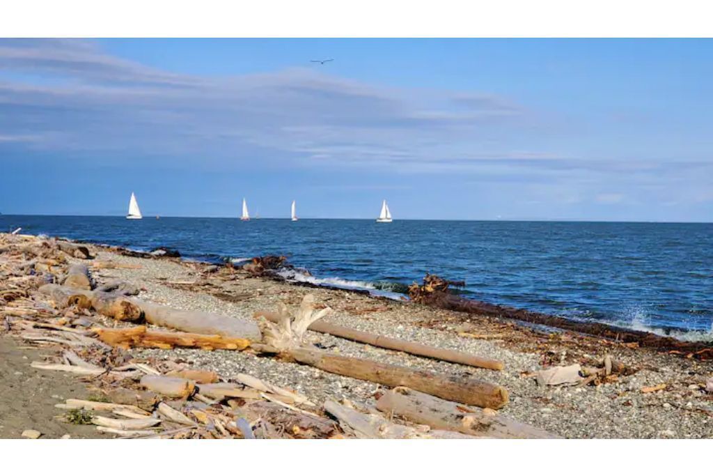Photo of Others in Point Roberts