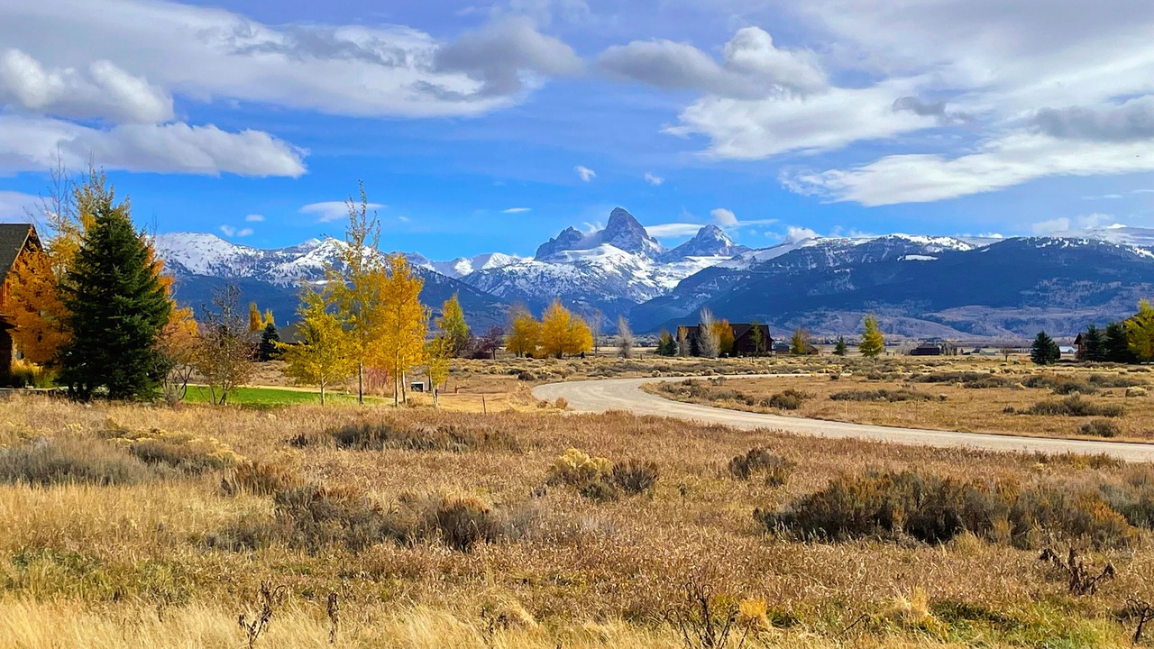 Photo of Others in Leigh Creek Estates