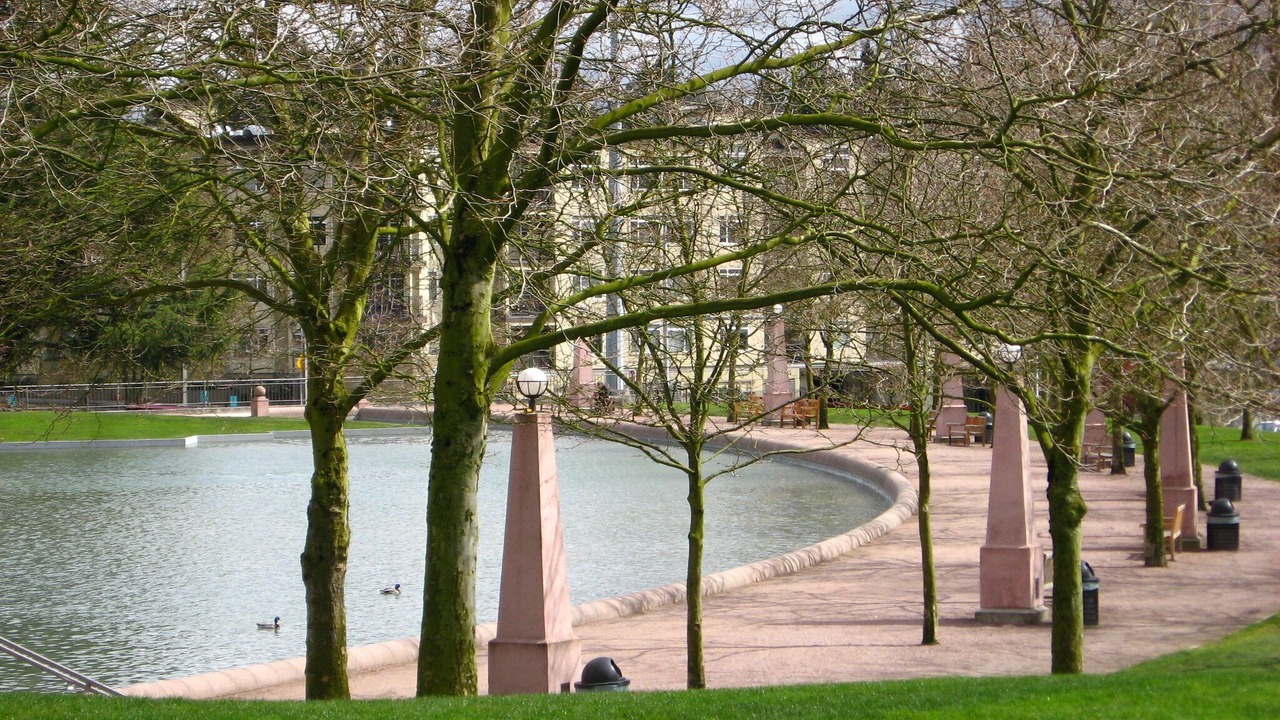 Photo of Others in West Bellevue