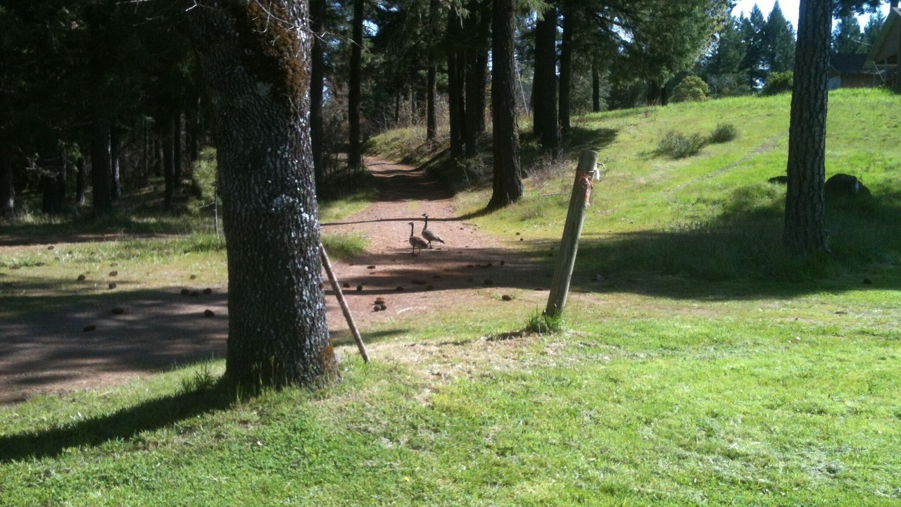 Photo of Others in Cave Junction