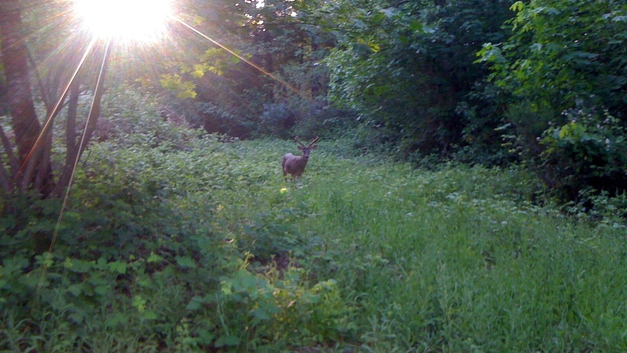 Photo of Outdoor in Cave Junction