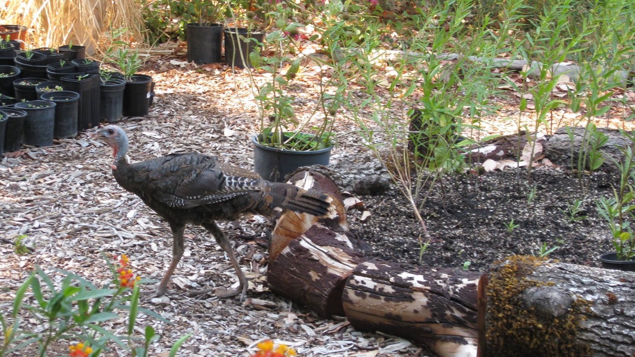 Photo of Others in Cave Junction