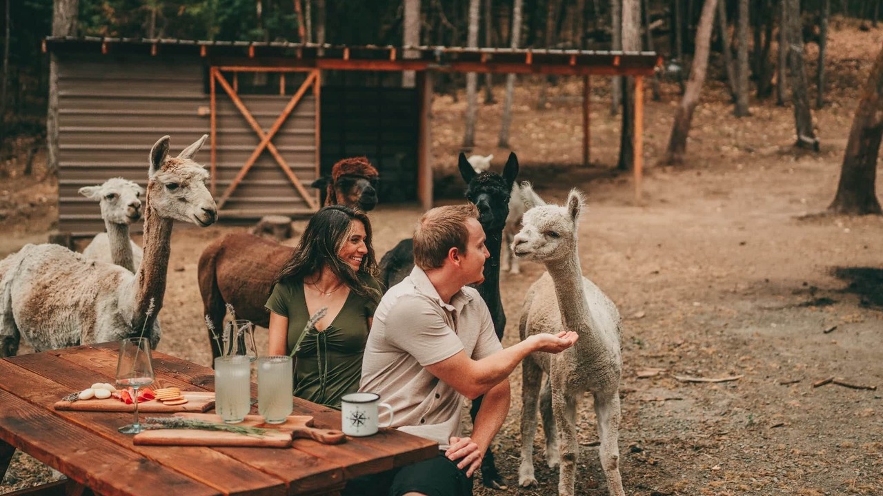 Photo of Others in Grants Pass