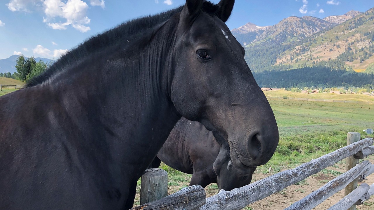 Photo of Others in Teton Village