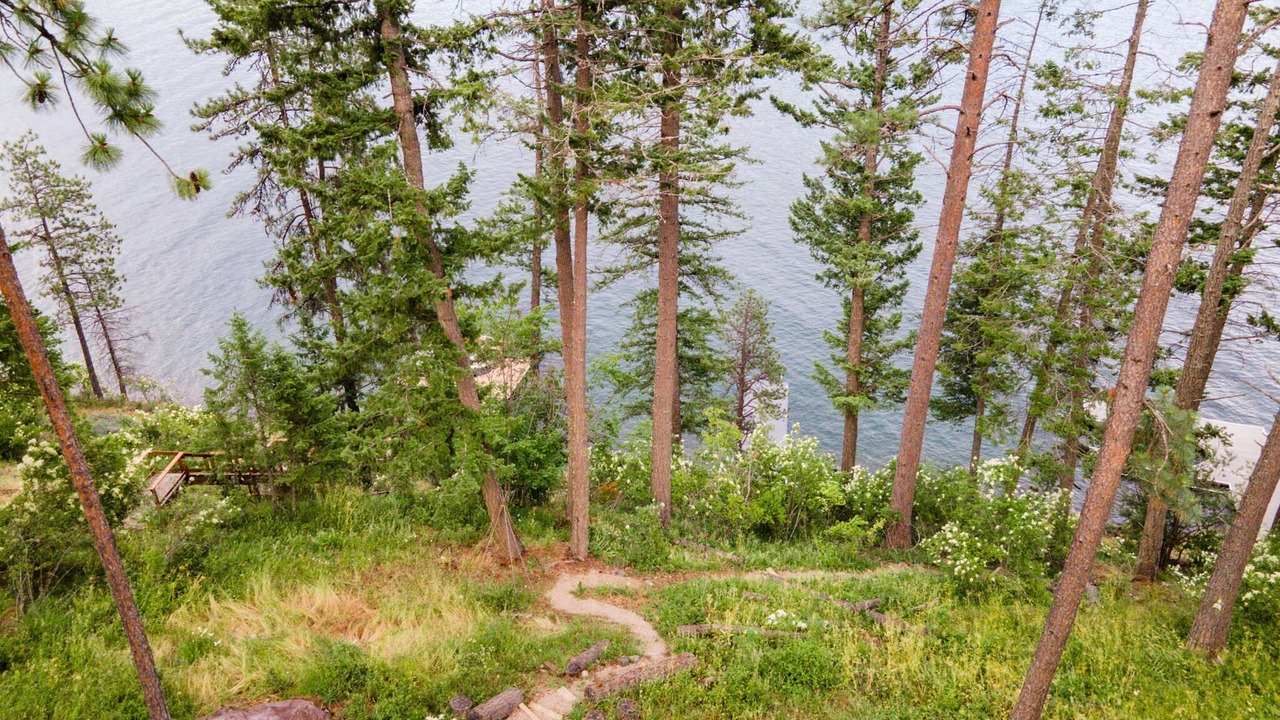 Photo of Outdoor in Sagle