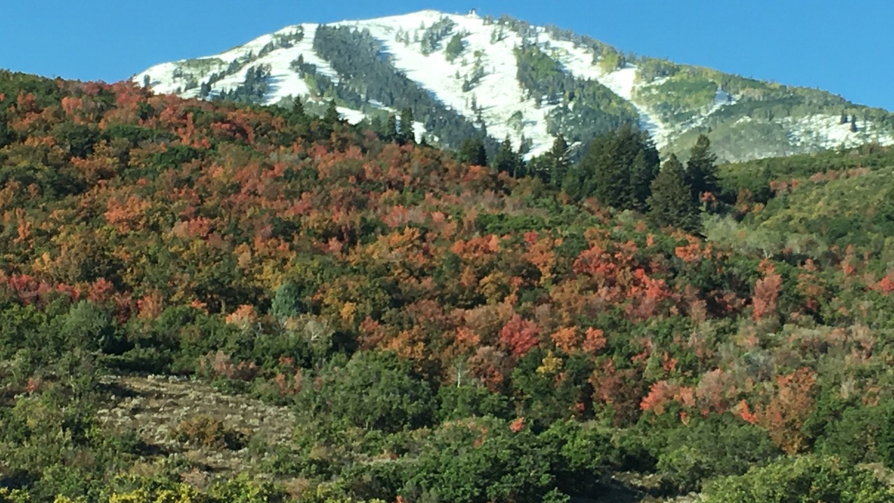 Photo of Others in Park City