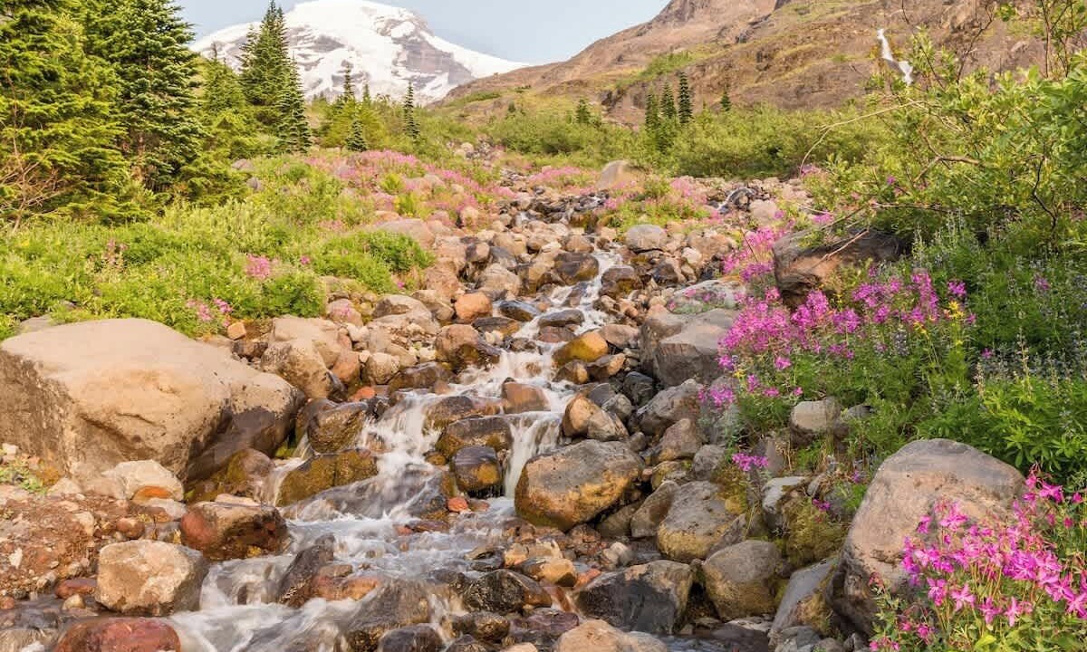 Photo of Others in Glacier