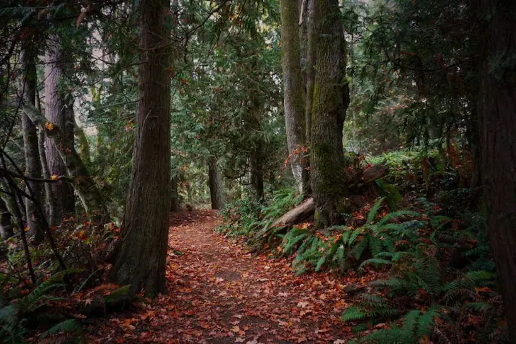 Photo of Others in Port Angeles