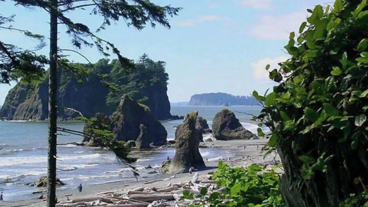 Photo of Others in Port Angeles