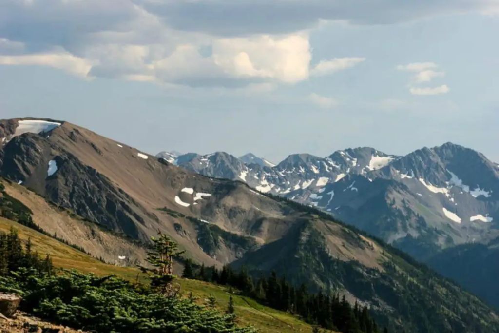 Photo of Outdoor in Port Angeles