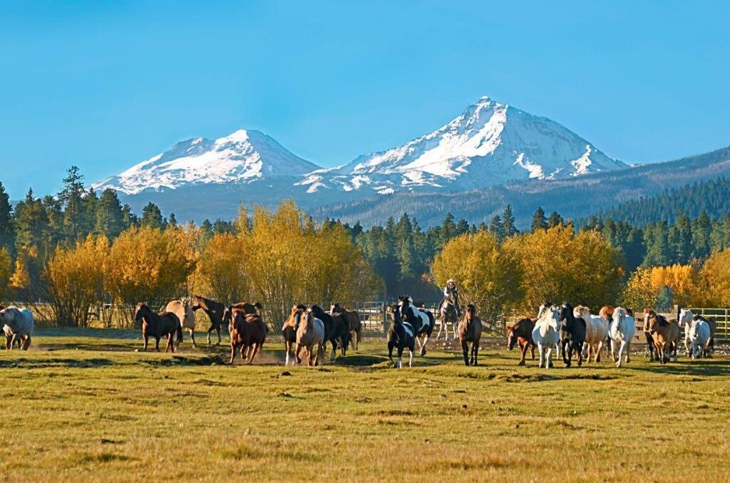 Photo of Others in Black Butte Ranch