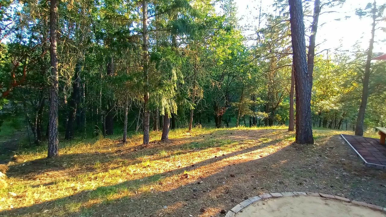 Photo of Outdoor in Murphy
