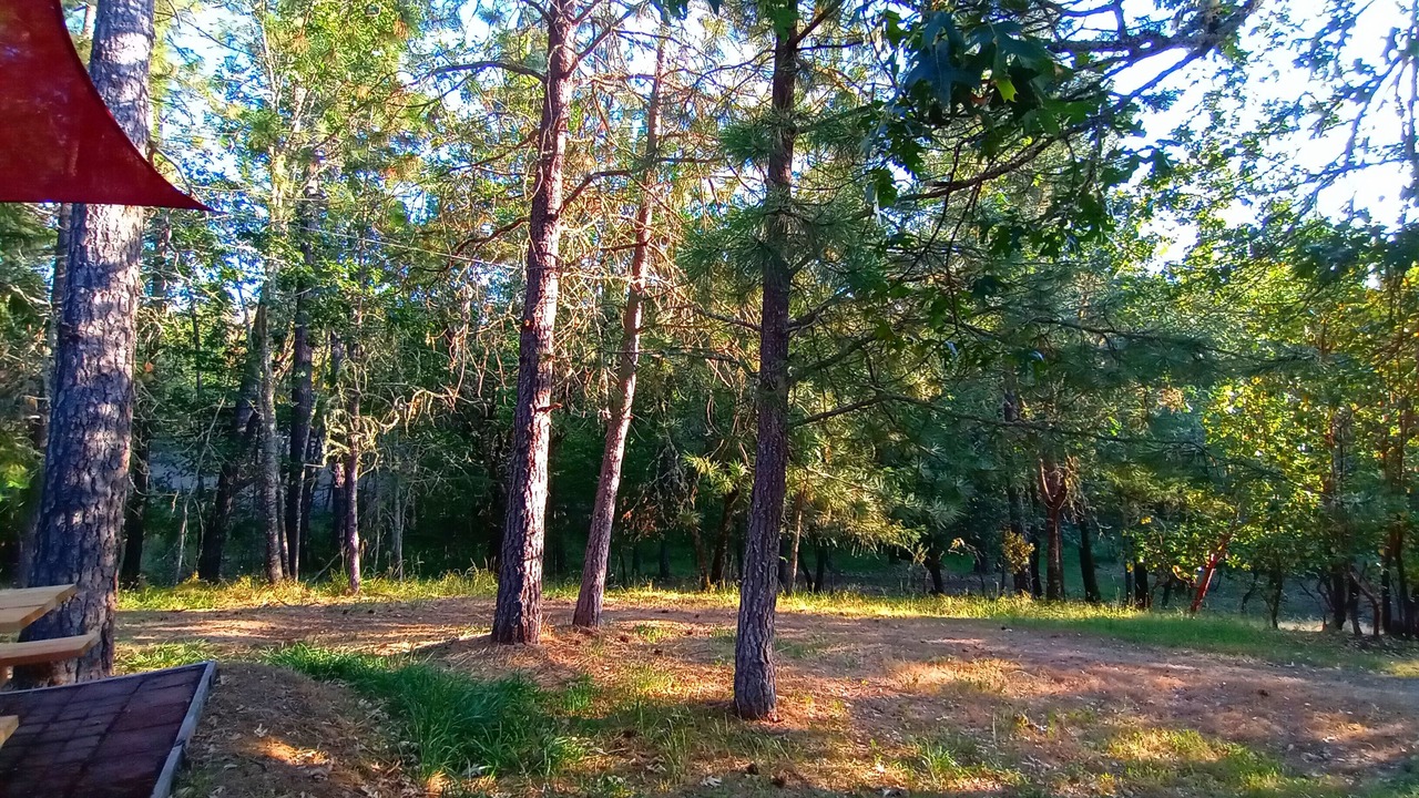 Photo of Outdoor in Murphy