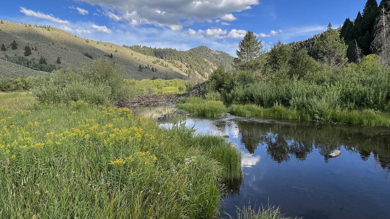 Photo of Outdoor in Corral