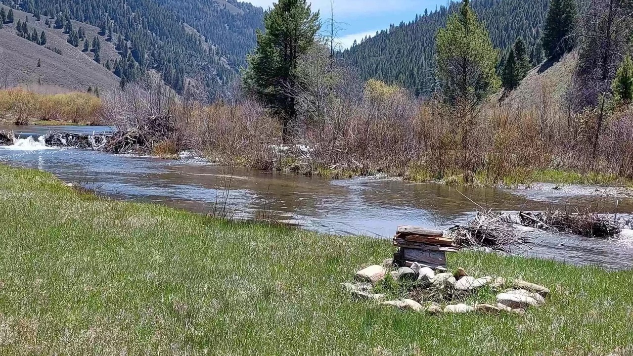 Photo of Outdoor in Corral