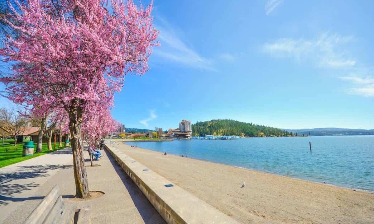 Photo of Outdoor in Post Falls