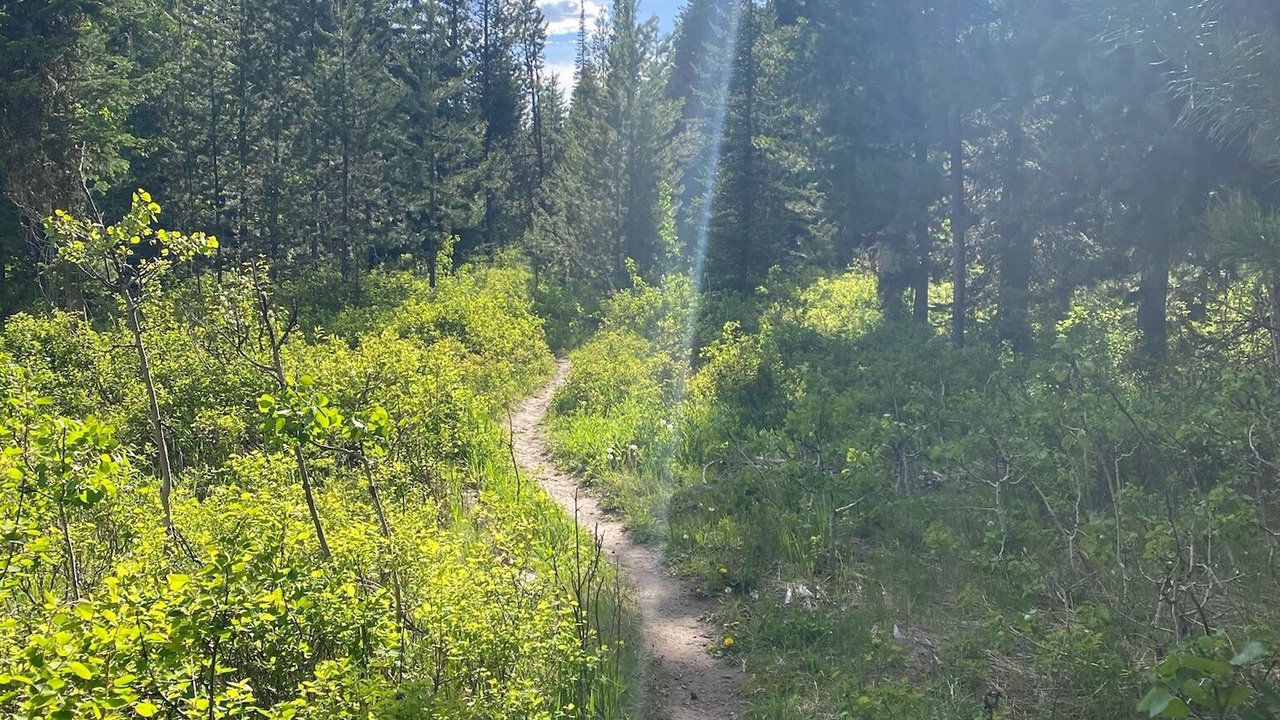 Photo of Others in Alpine Northeast