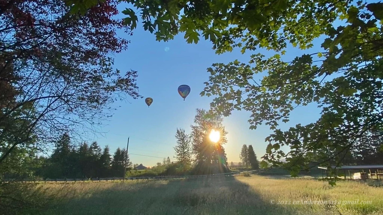 Photo of Outdoor in Tacoma