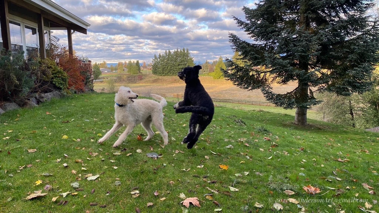 Photo of Outdoor in Tacoma