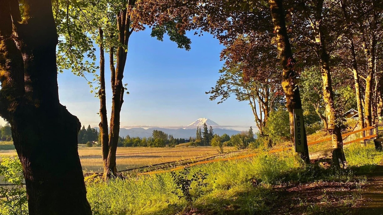 Photo of Outdoor in Tacoma
