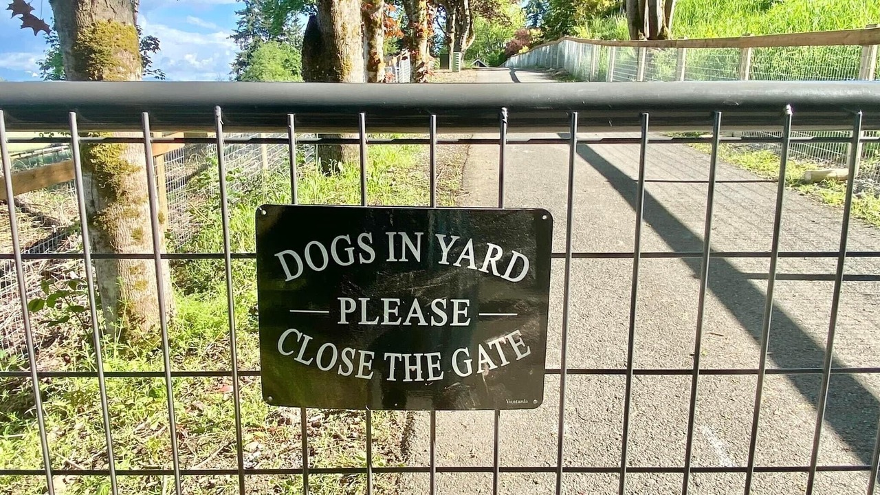 Photo of Outdoor in Tacoma