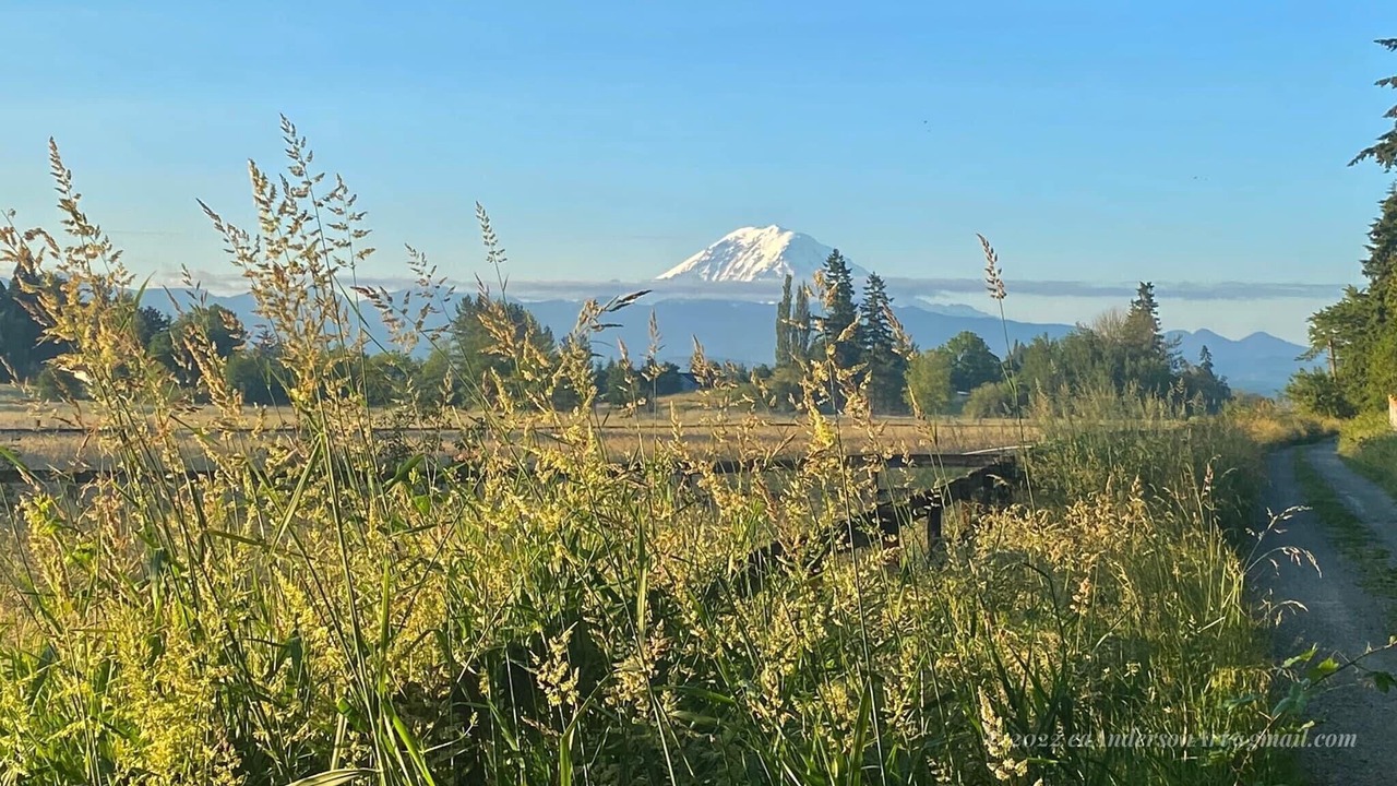 Photo of Outdoor in Tacoma