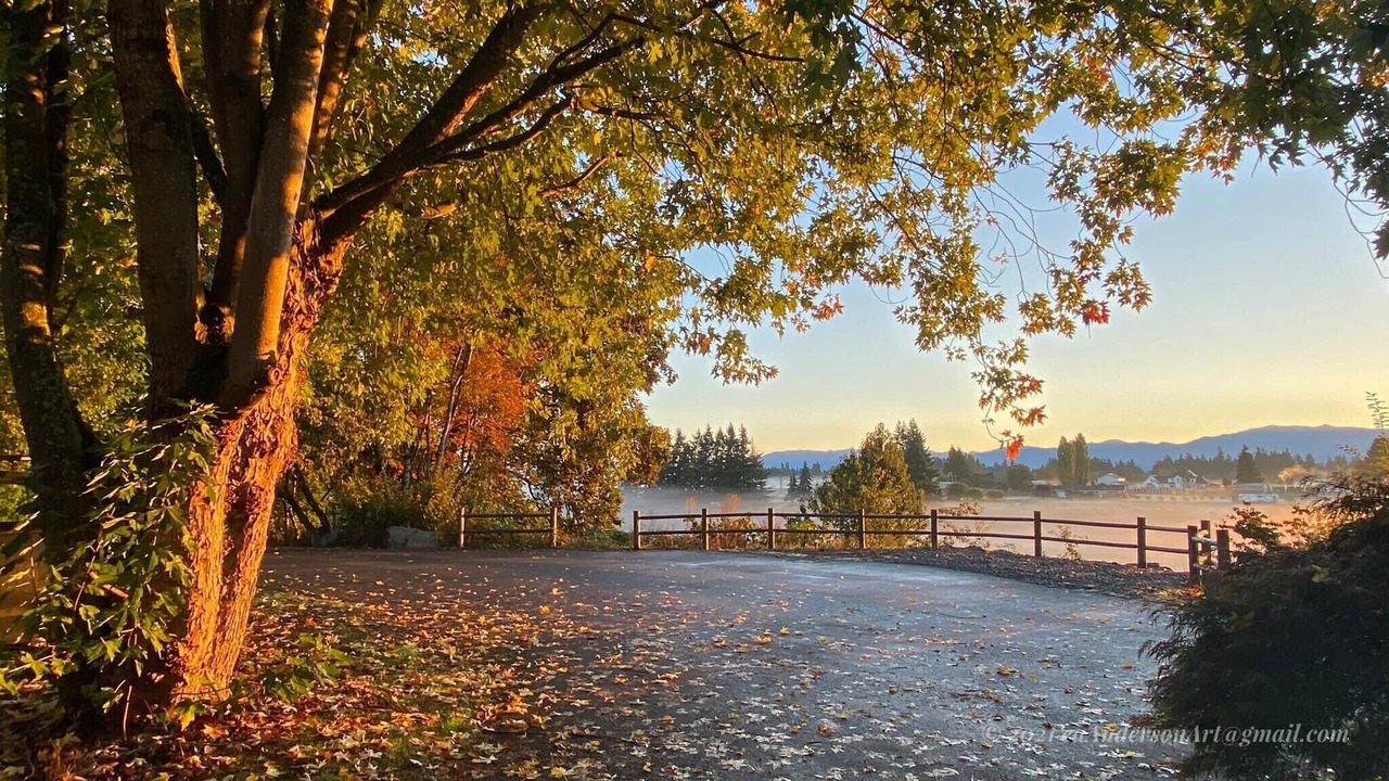 Photo of Outdoor in Tacoma
