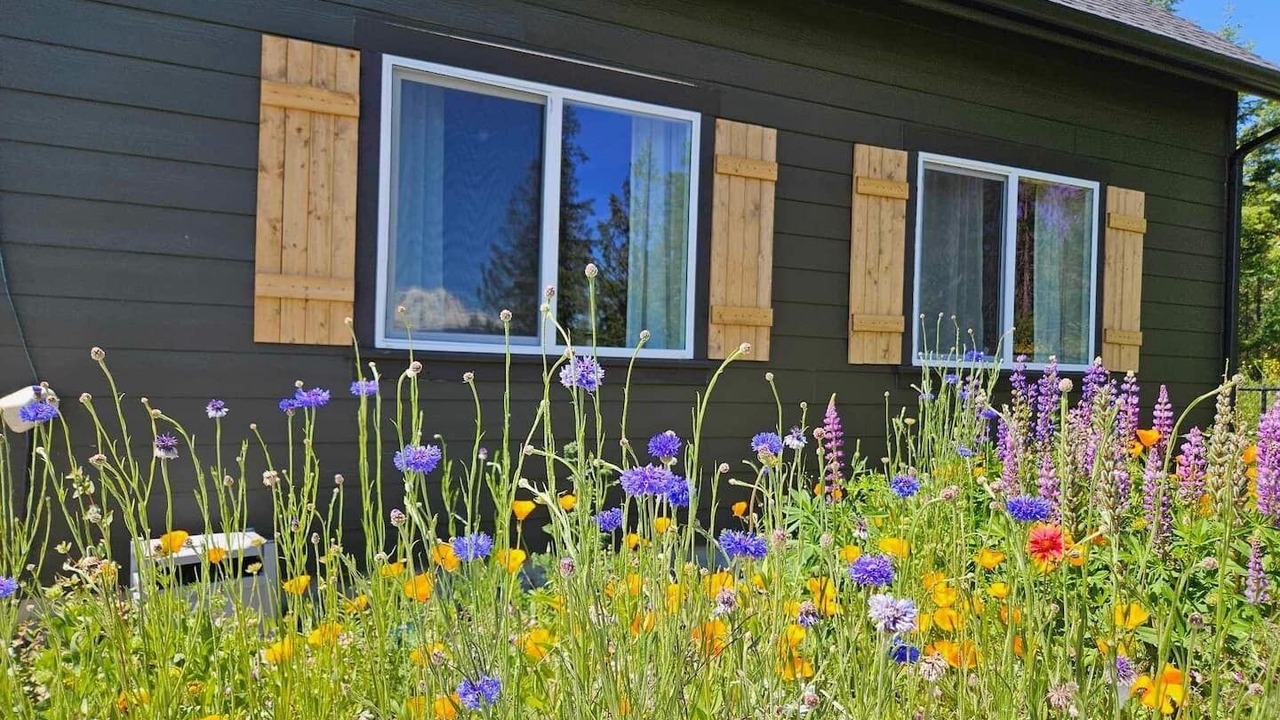 Photo of Outdoor in Eatonville