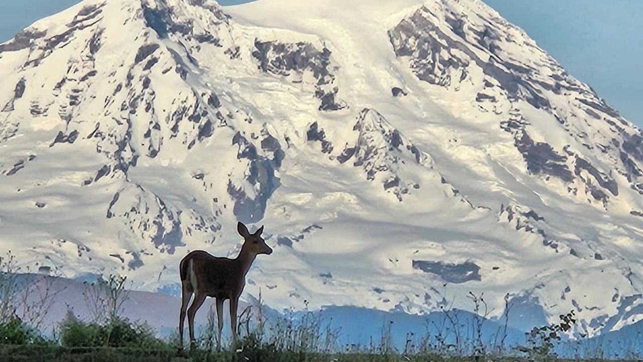 Photo of Others in Eatonville