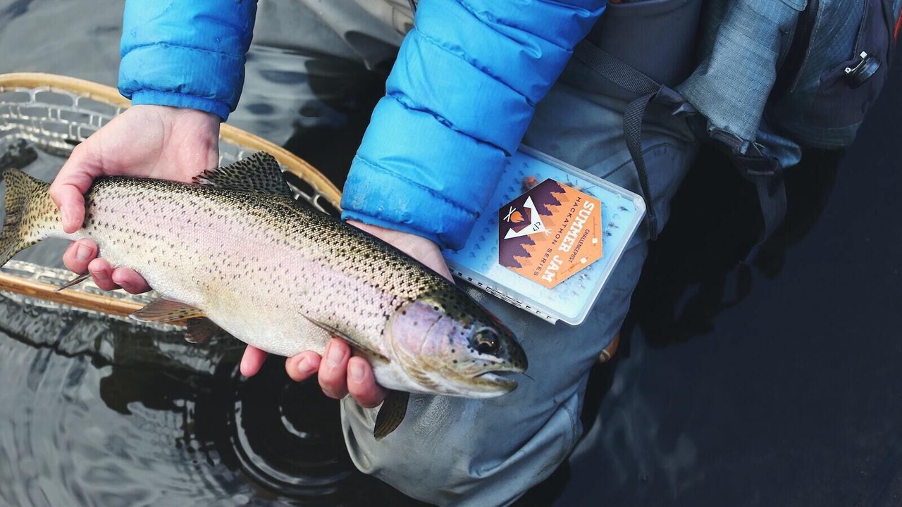 Photo of Others in Post Falls