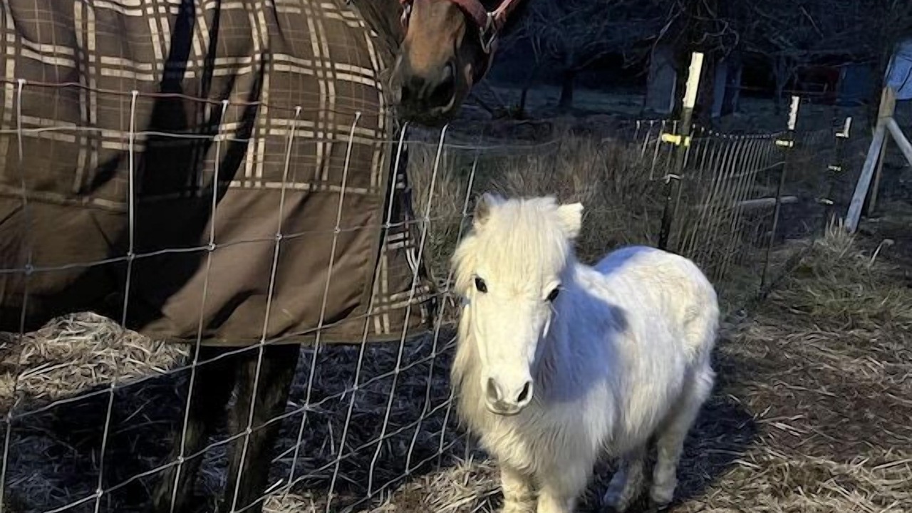 Photo of Others in Rainier