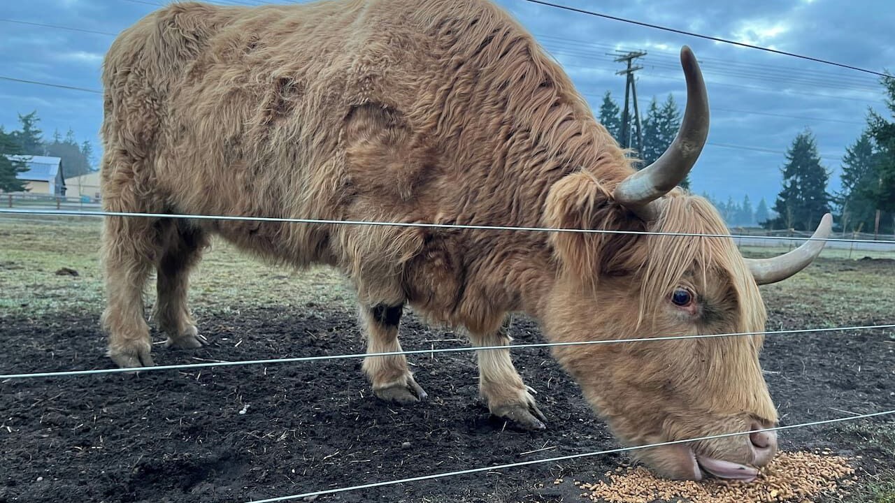 Photo of Others in Rainier