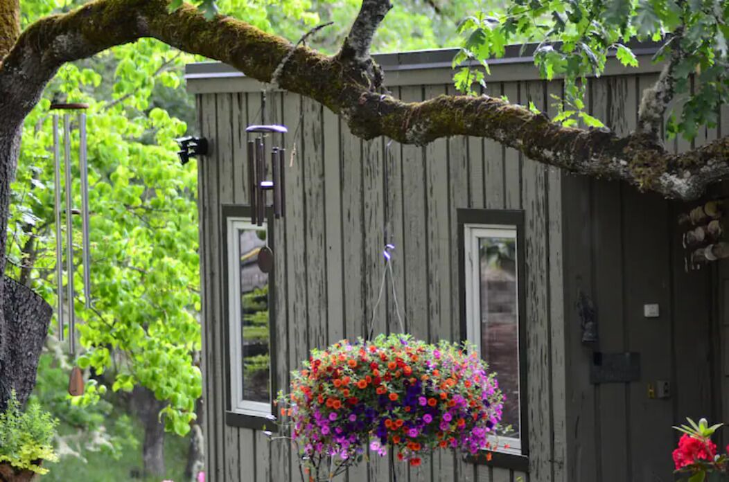 Photo of Outdoor in Roseburg