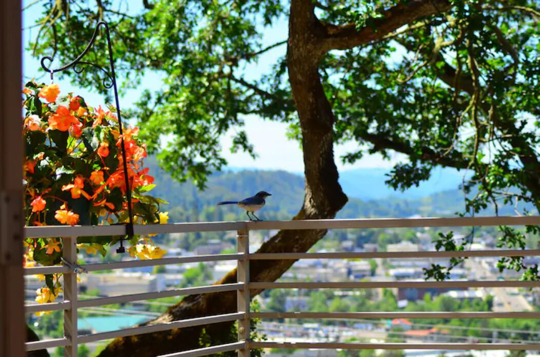 Photo of Outdoor in Roseburg