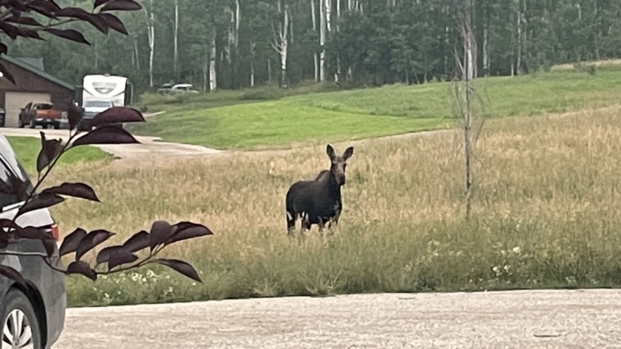 Photo of Outdoor in Victor