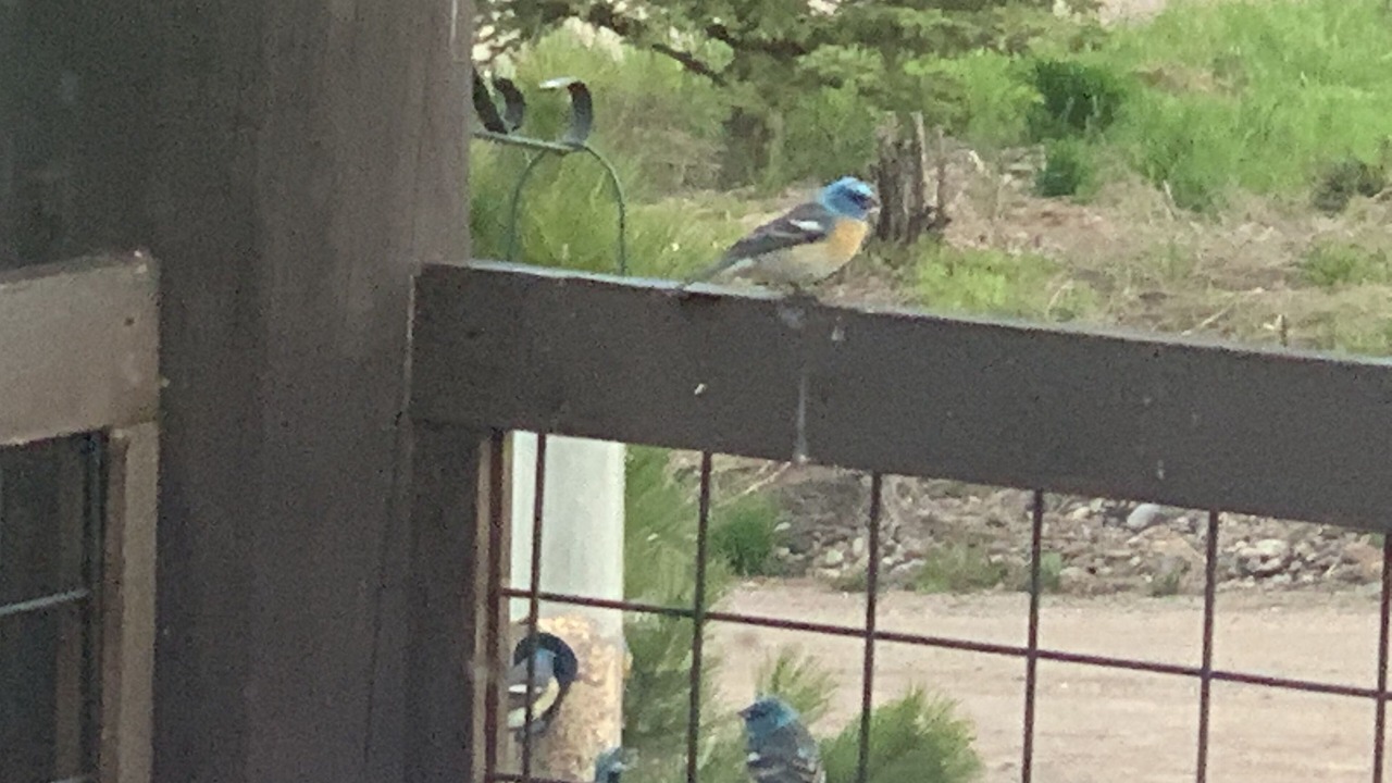 Photo of Outdoor in Victor