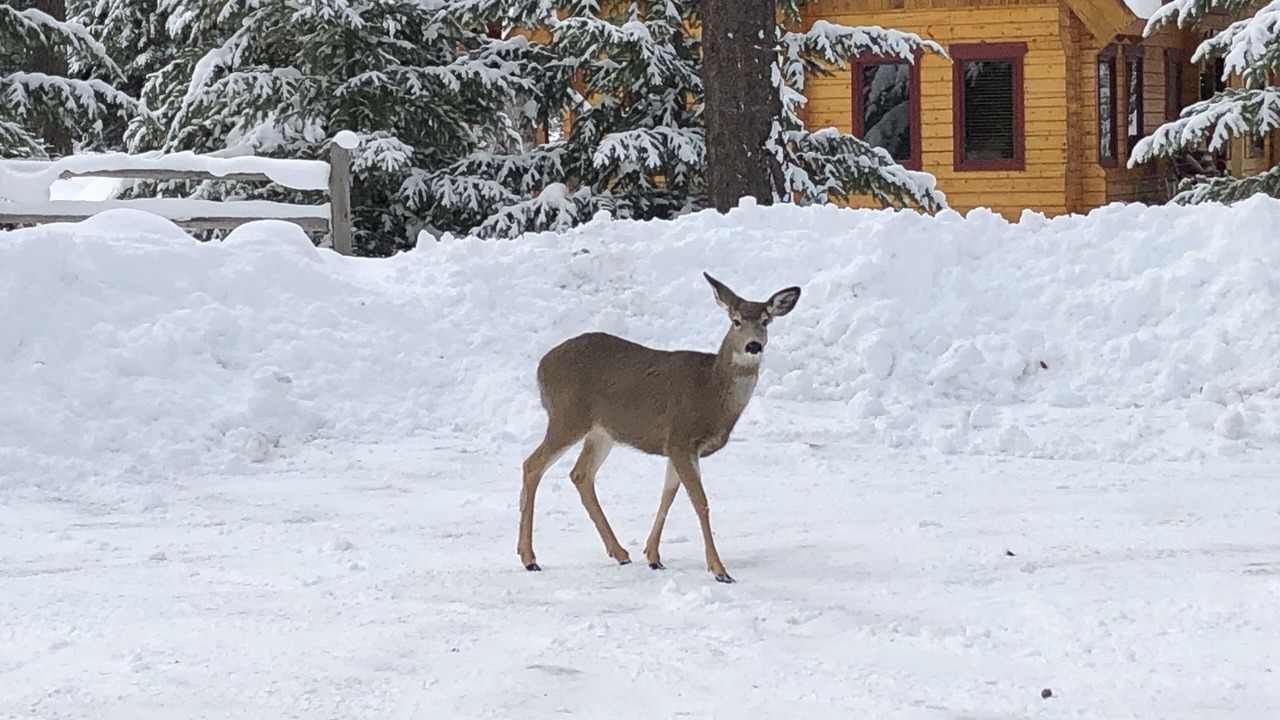 Photo of Outdoor in Cle Elum