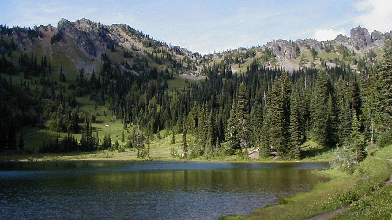 Photo of Outdoor in Enumclaw
