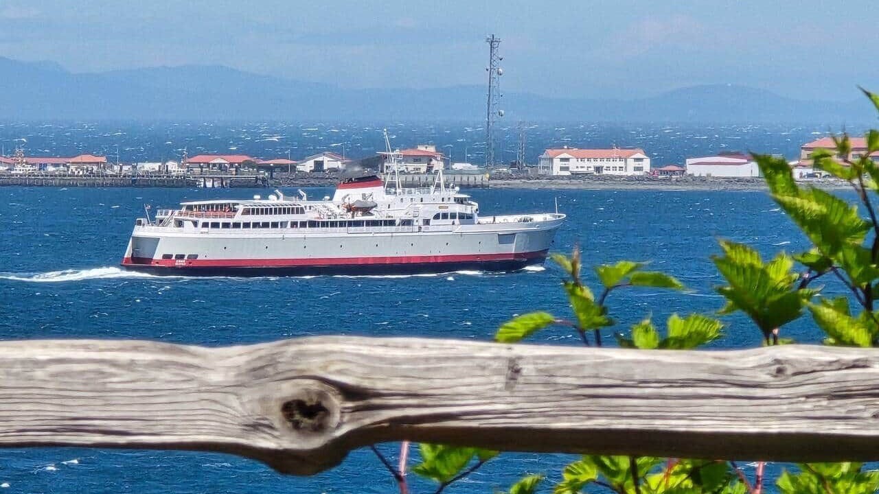 Photo of Others in Port Angeles