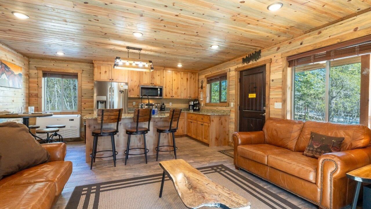 Photo of Livingroom in Island Park