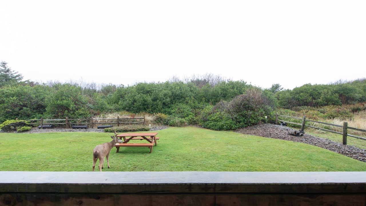 Photo of Outdoor in Ocean Shores