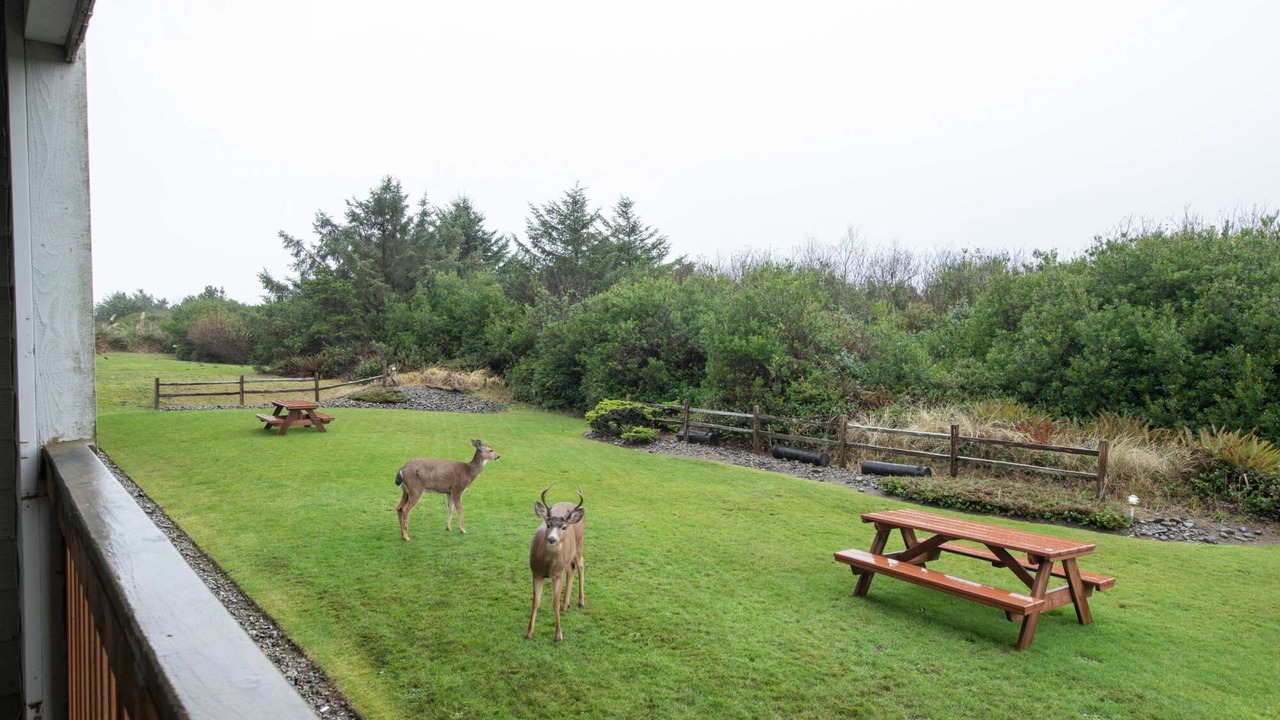 Photo of Outdoor in Ocean Shores
