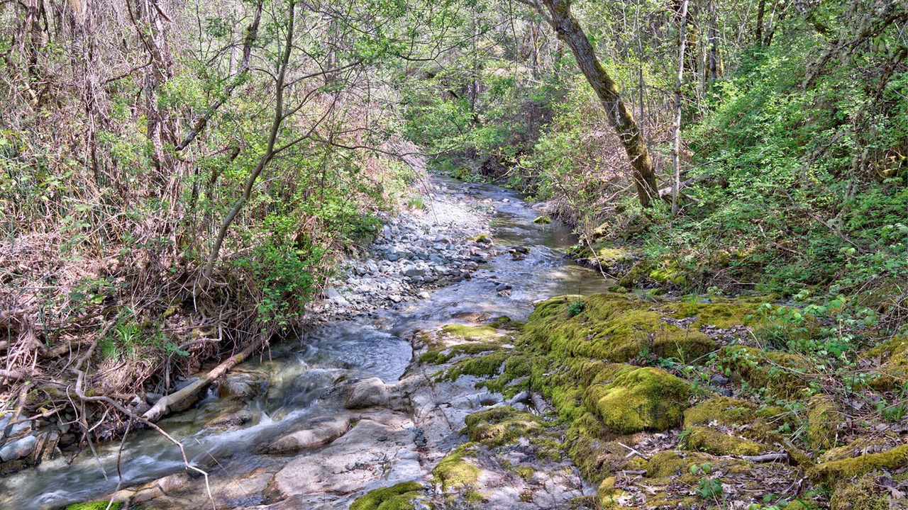 Photo of Outdoor in Grants Pass