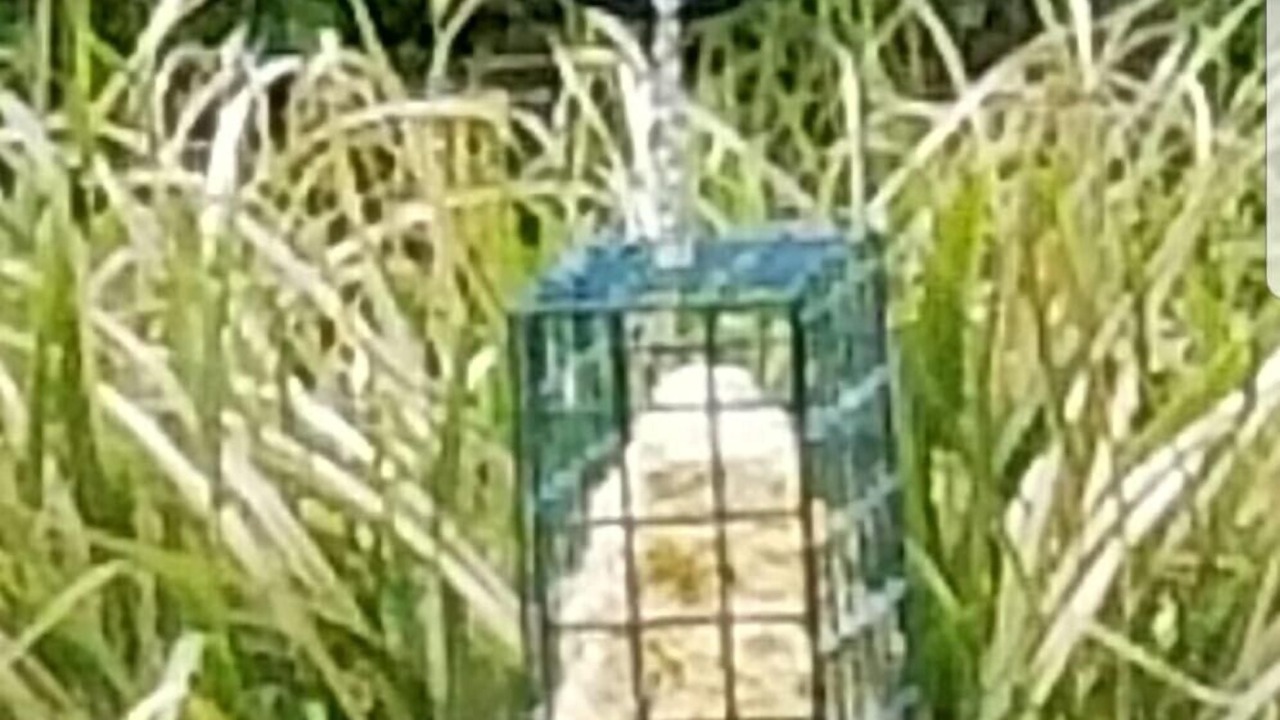 Photo of Outdoor in Greenbank